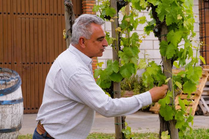 Juan Leandro Romero une tradición y vino natural en Bodegas Romero