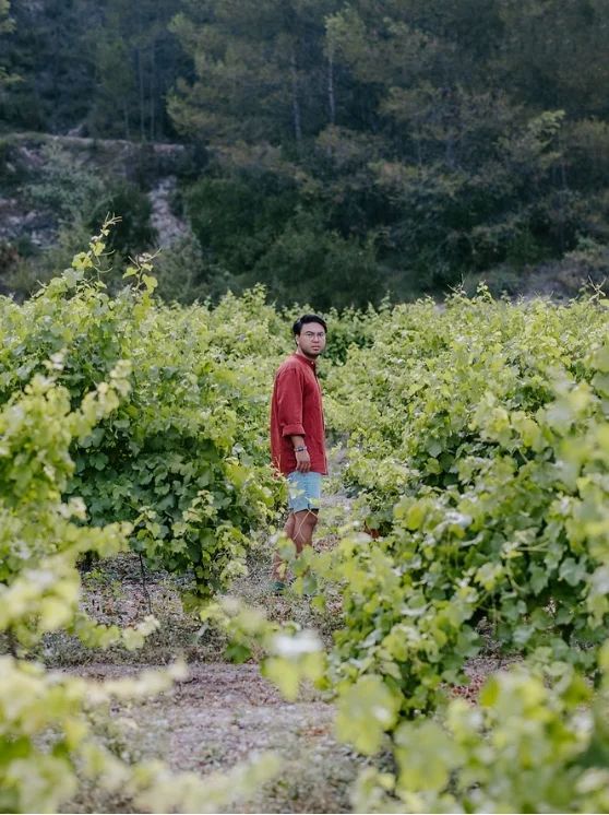 Las uvas autóctonas valencianas que casi nadie conoce (y los vinos naturales que las están rescatando)
