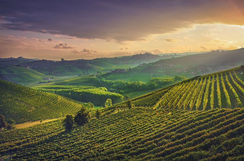 Italia cifra en 3.100 millones de euros el enoturismo como motor turístico en Estados Unidos