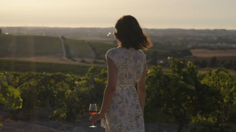La Ruta del Vino y el Brandy avala a Jerez como Ciudad Española del Vino