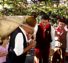 Festa do Vinho de Madeira