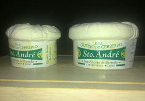 Quesos Santo André 