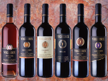 vinos de Finca Ánfora