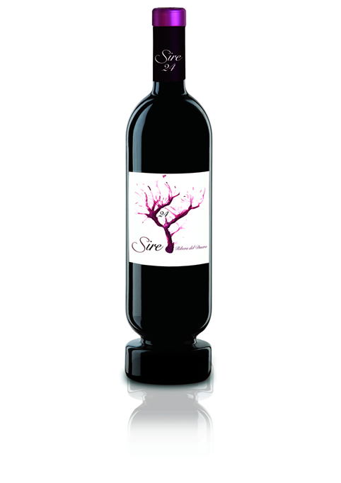 Sire 24