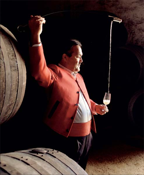 Enólogo de Jerez