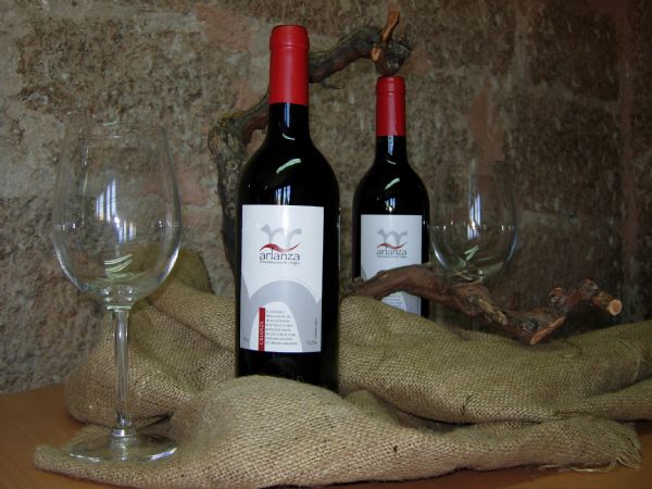 Vinos D.O. Arlanza