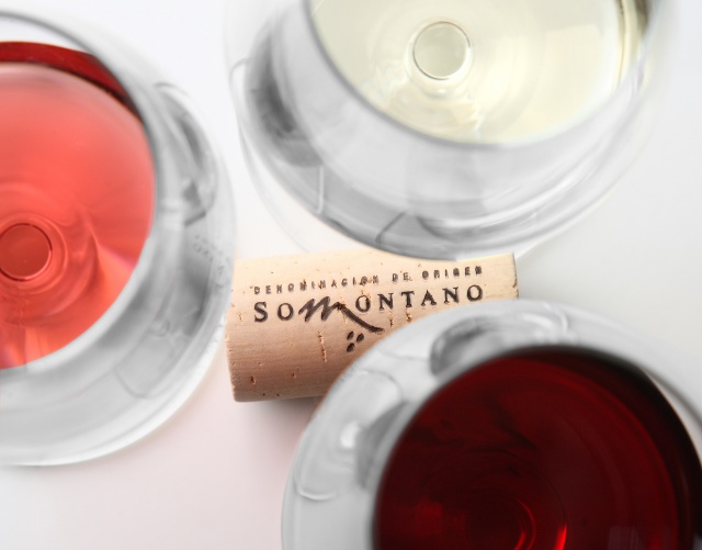 Vinos con D.O. Somontano