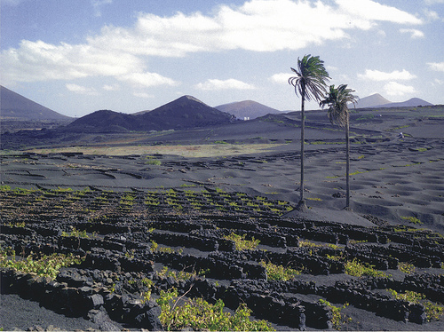 Lanzarote