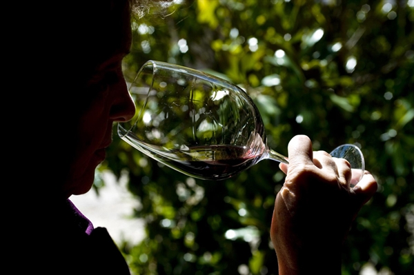 Vinos Ribera del Duero