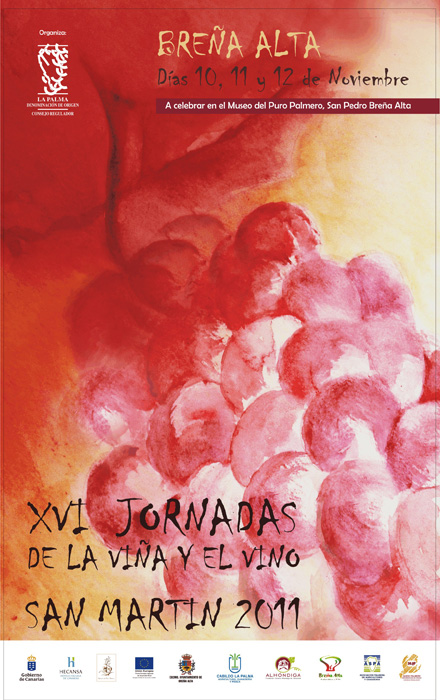 Jornadas de la Viña y el Vino, 'San Martín 2011'