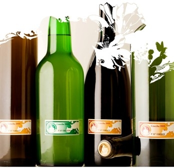 Sidra con D.O. Sidra con D.O.