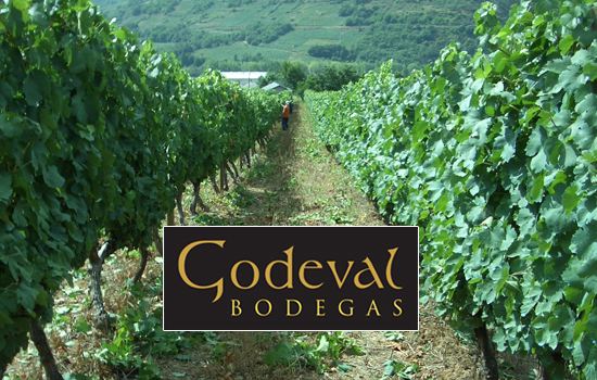 viñedos Godeval