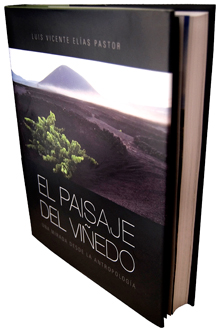 El paisaje del viñedo