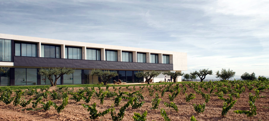 Finca de los Arandinos