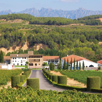 bodegas Segura Viudas bodegas Segura Viudas