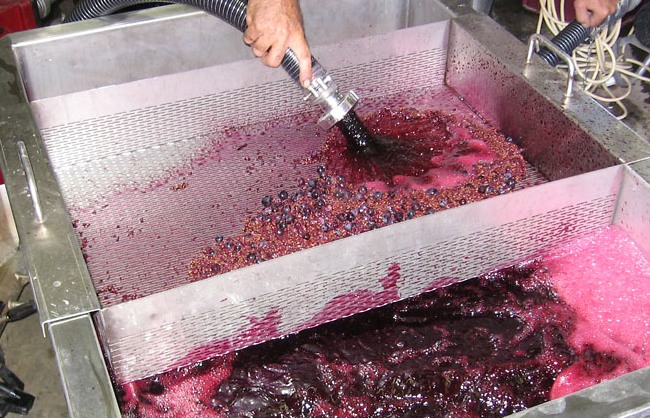 vinificación