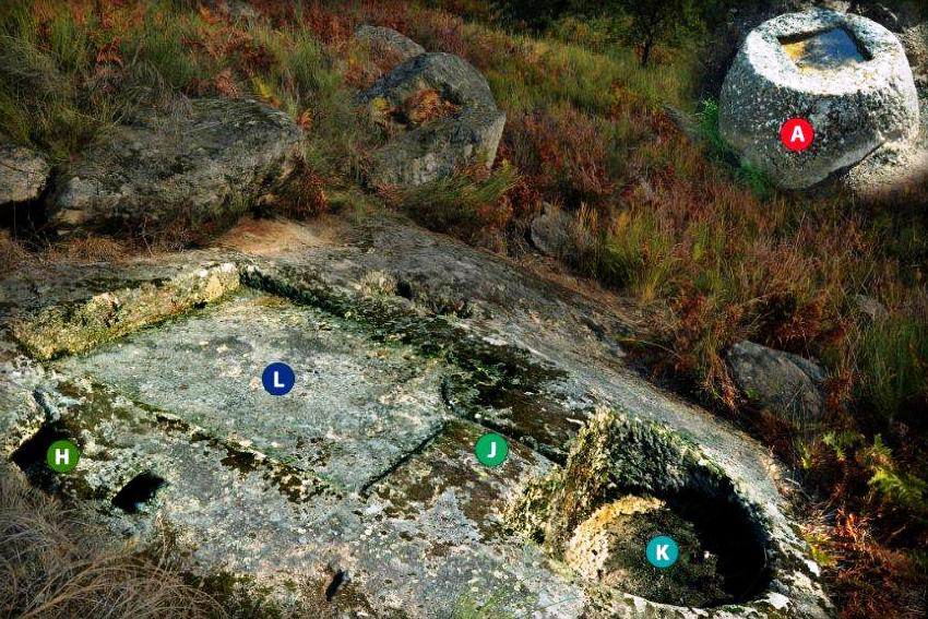 Un importante descubrimiento podría revelar el origen del vino en Galicia