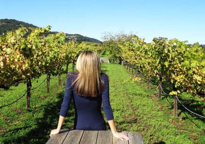 En la actualidad el concepto de desarrollo debe ir indefectiblemente ligado al concepto de sostenibilidad Viñedos