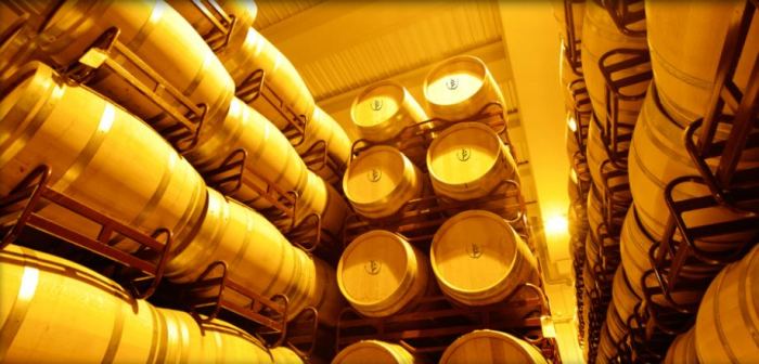 Instalaciones de la bodega