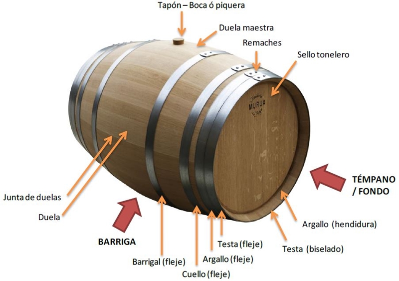 suma Espacio cibernético Saludo Cómo se denominan las diferentes partes de la barrica de vino?