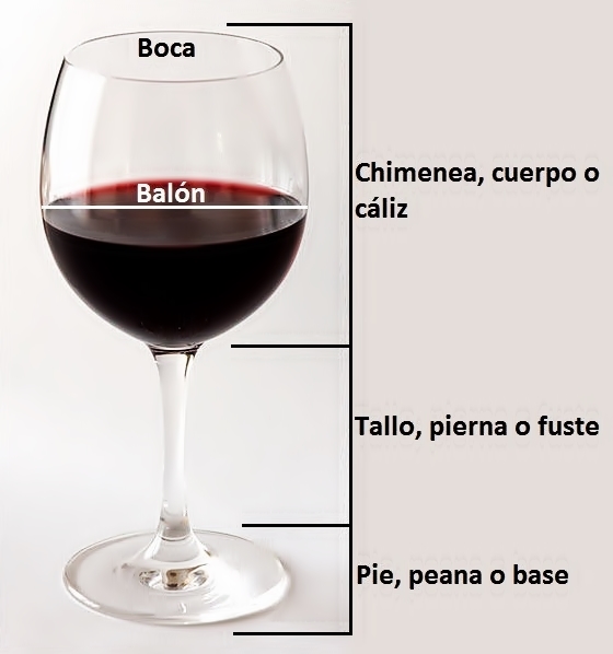 Cuál es la mejor copa para cada tipo de vino
