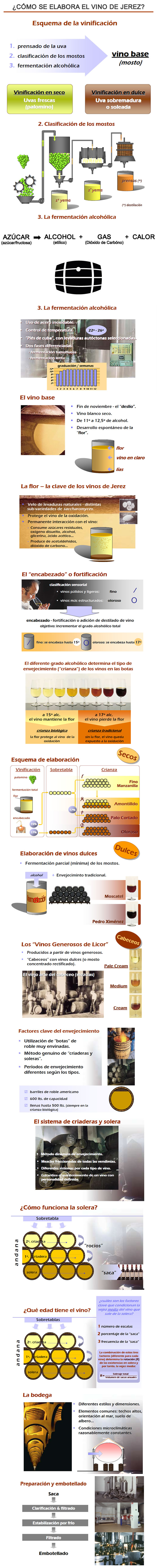 fases en la elaboración del vino de Jerez