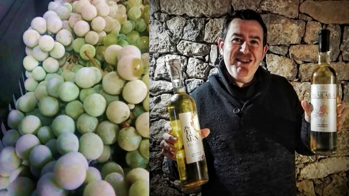 Javier Campo Javier Campo