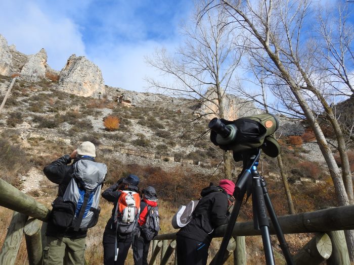 Ruta Hoces del Riaza con Abubilla