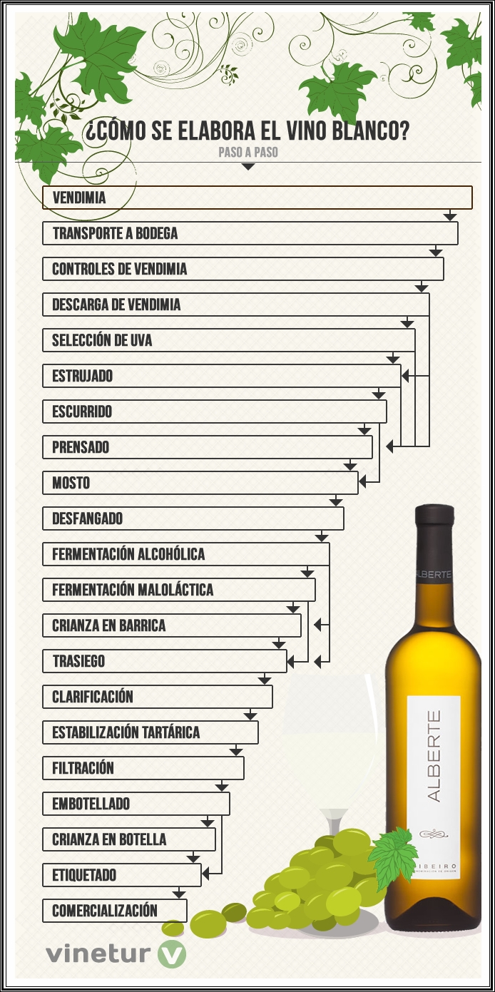 Elaboración del vino blanco