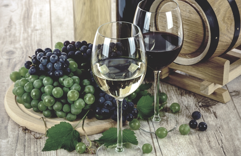 uva y vino