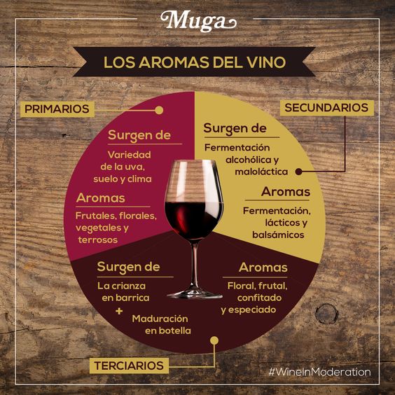 20 geniales infografías para aprender a catar vinos
