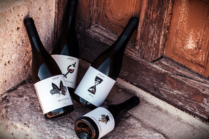 Colección V Javier Sanz