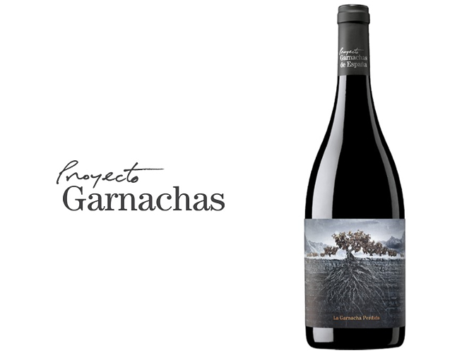 Proyecto Garnachas