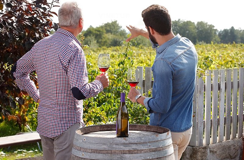 viticultores observando viñedos