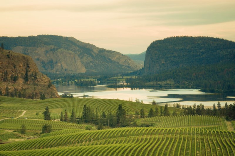 Valle de Okanagan, en la Columbia británica