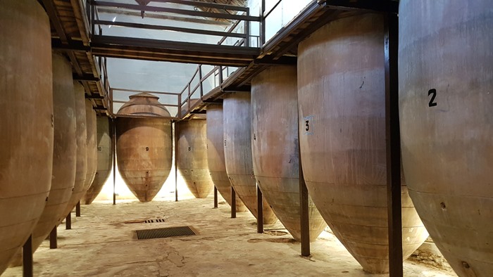 nave de tinas de barro centenarias Bodegas Navarro Lopez