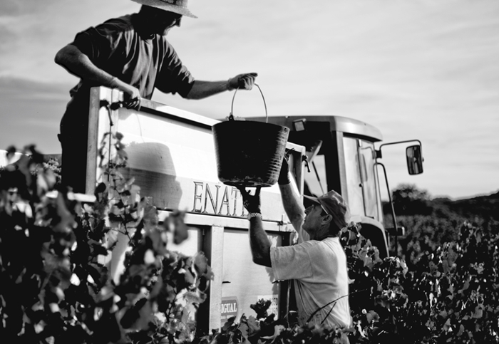 ENATE, una bodega con mucha tradición