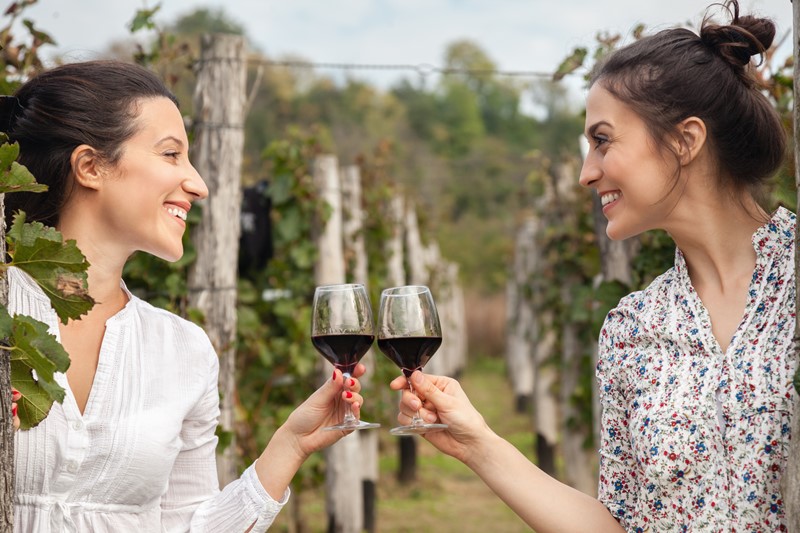 Dos mujeres brindan con vino tinto en un viñedo