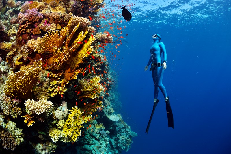 Una buceadora en un arrecife de coral