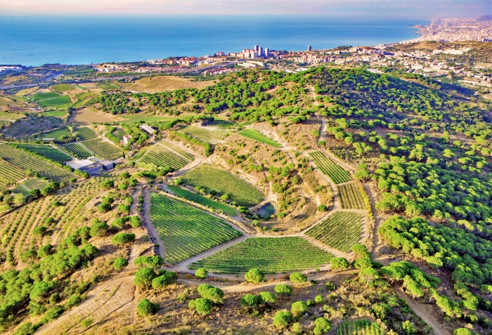 Exterior de la bodega y viñedos Alta Alella