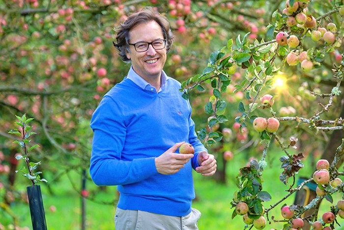 José Masaveu, director general de Masaveu Bodegas