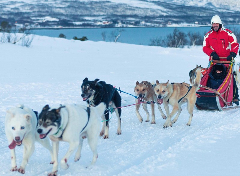 Pancho Campo en Arctic Expedition