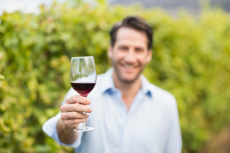 hombre sostiene copa de vino en viñedo