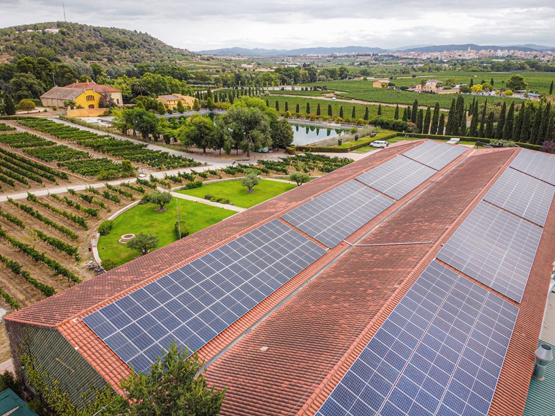 Paneles solares sobre bodega del Penedés de Familia Torres