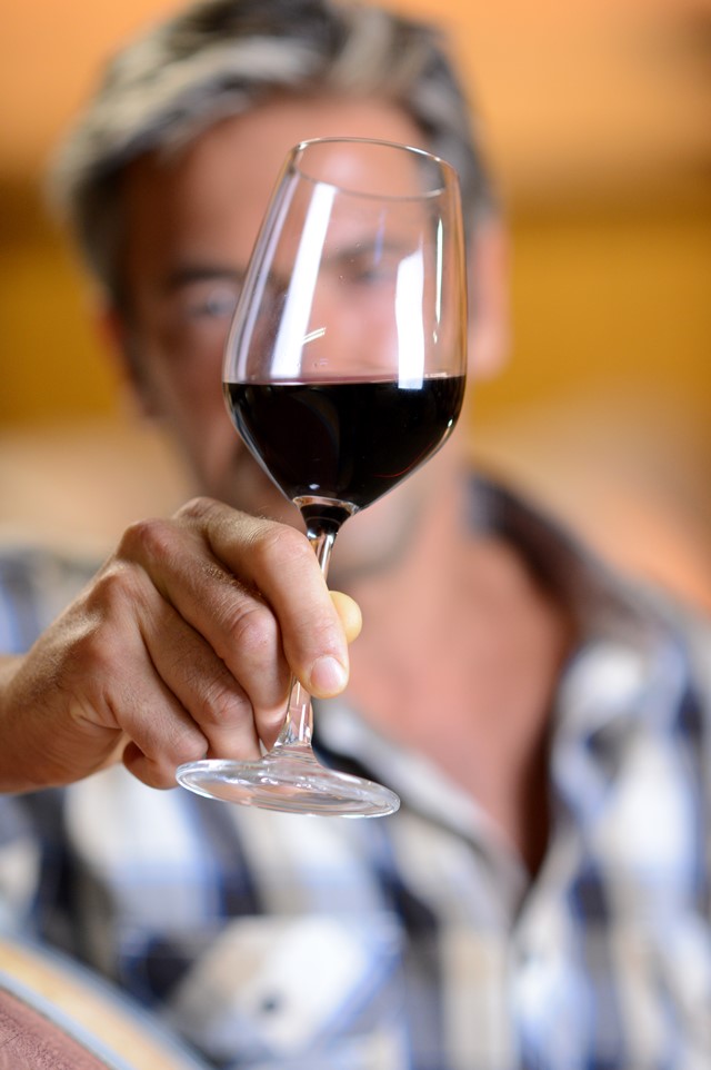 Enólogo mira copa de vino tinto