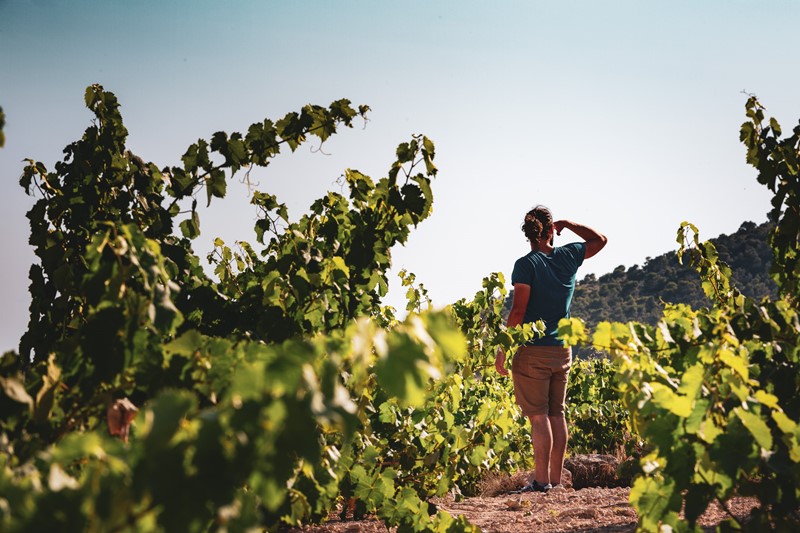 Valtravieso Júcar y Jumilla