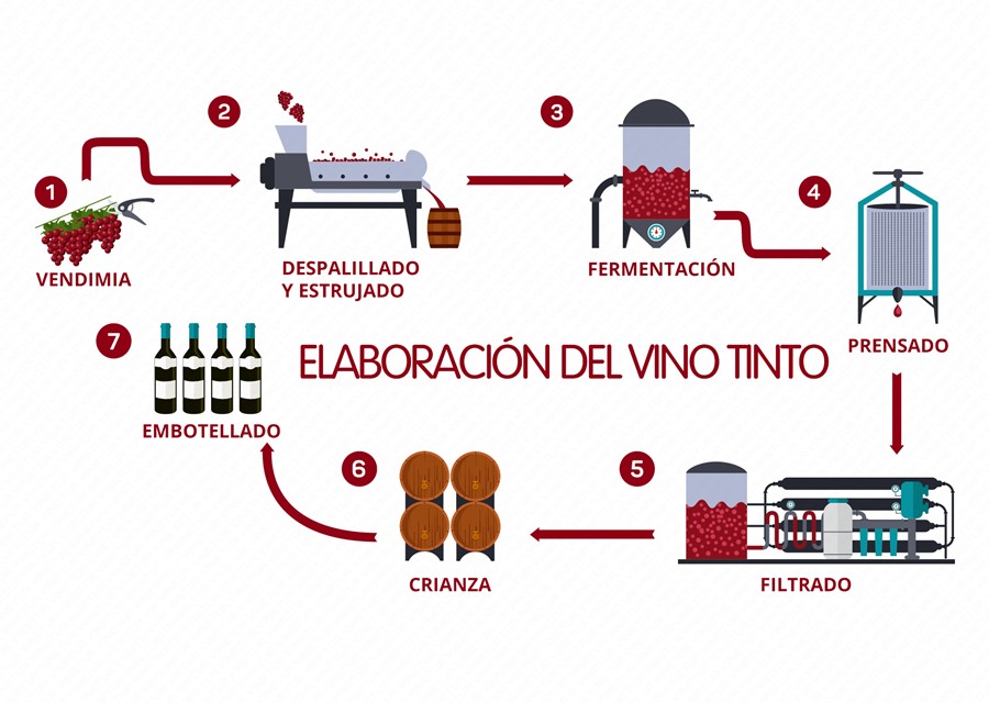Dormido Alfabeto matriz Cómo se hace el vino tinto?