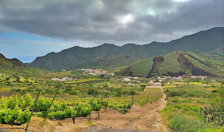 Valle de El Palmar en Buenavista del Norte