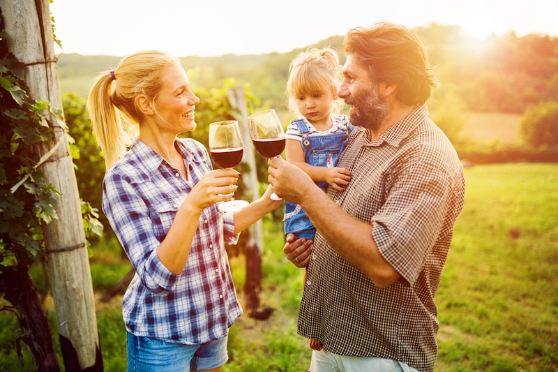 Cataluña prepara su primer informe agregado sobre enoturismo en 127 bodegas Cataluña prepara su primer informe agregado sobre enoturismo en 127 bodegas