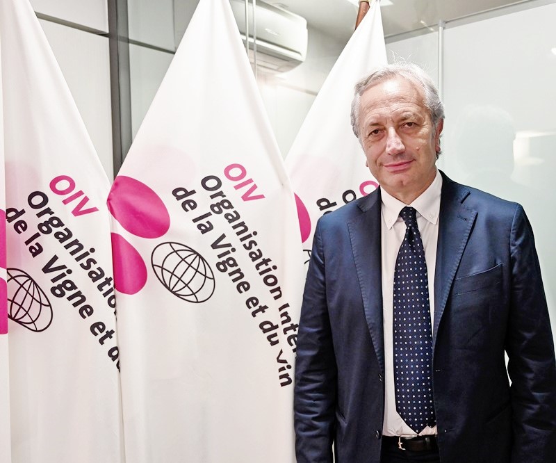 Luigi Moio, Presidente General Organización Internacional del Vino y la Viña